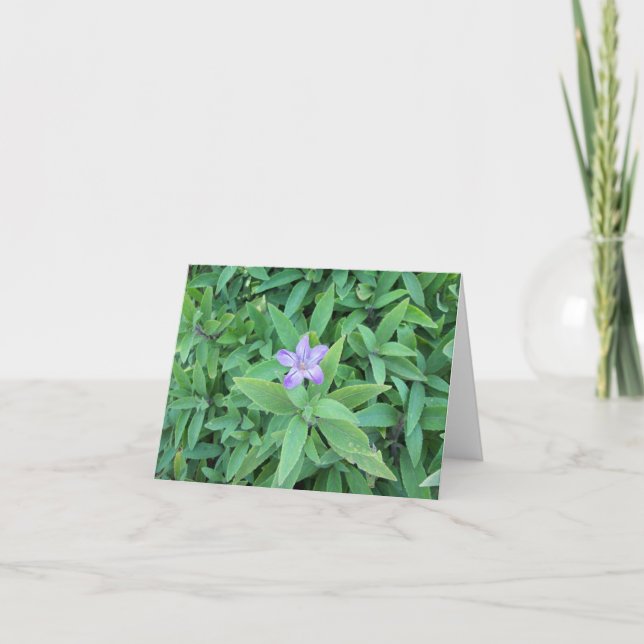 Purple Flower Note Card (Front)
