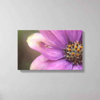 Purple flower photography  canvas print