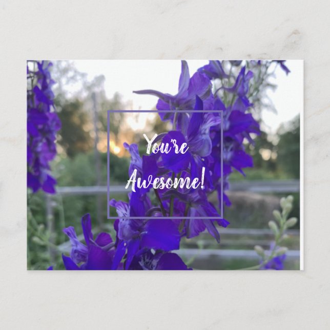 Purple Flower Postcard (Front)