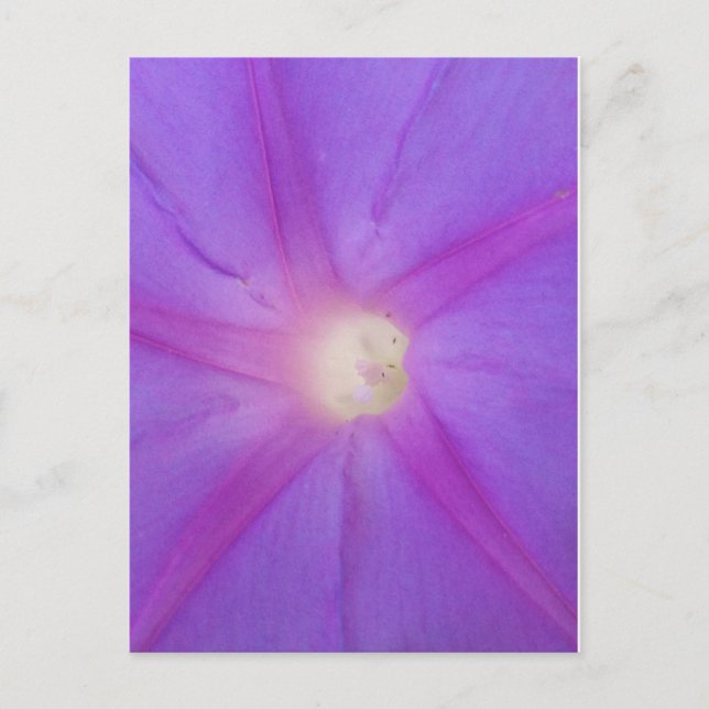 Purple flower postcard (Front)