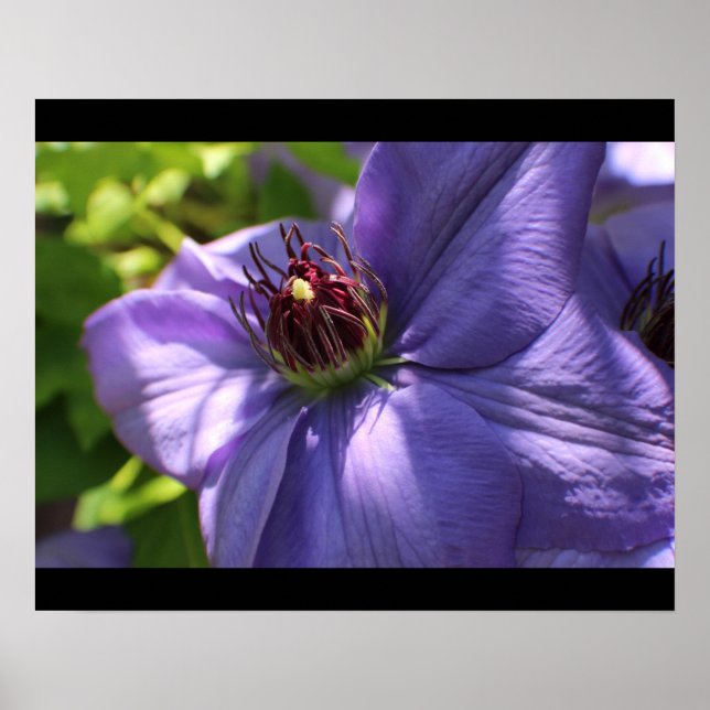Purple Flower Poster (Front)