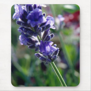 Purple Flower Spike Mouse Pad