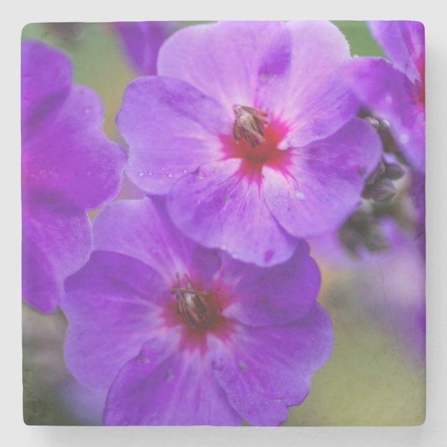 Purple flower stone coaster (Front)