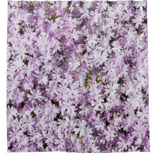 Purple flower, summer freshness backdrop.