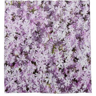 Purple flower, summer freshness backdrop.