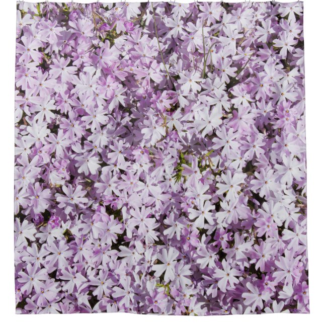 Purple flower, summer freshness backdrop. (Front)