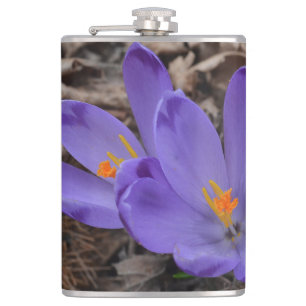 Purple flowering Woodland Crocus  Hip Flask