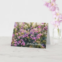 Purple Flowers Bougainvillea Art Birthday Card