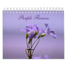 Purple Flowers