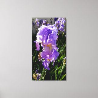Purple Flowers Canvas Print