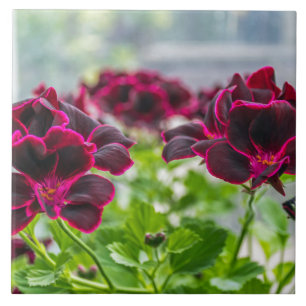 Purple flowers ceramic tile