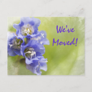Purple Flowers Change of Address Announcement Postcard