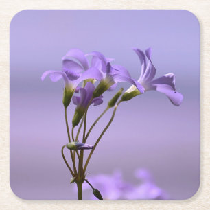 Purple Flowers Coaster