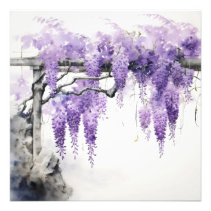 Purple Flowers Colour Wisteria Photo Print