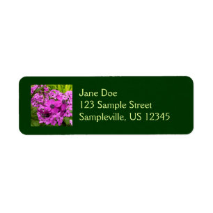 Purple Flowers from San Francisco