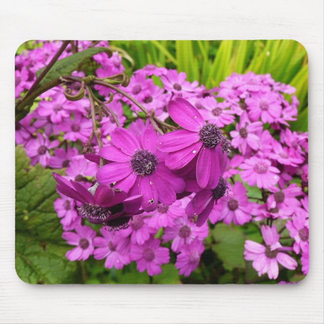 Purple Flowers from San Francisco Mouse Pad (Front)