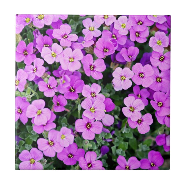 Purple Flowers Garden-22195 Tile (Front)