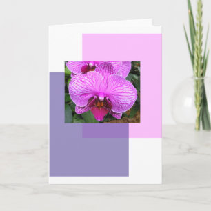 Purple Flowers Greetings Card