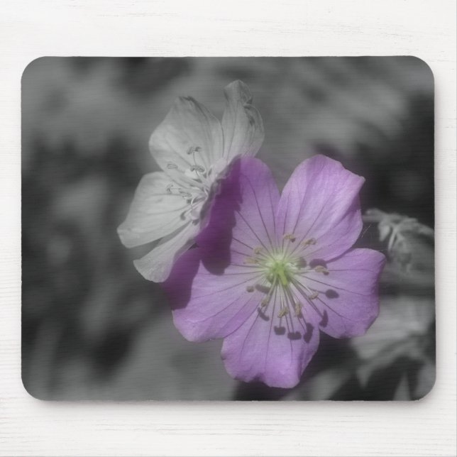 Purple Flowers In Black And White Mousepad (Front)