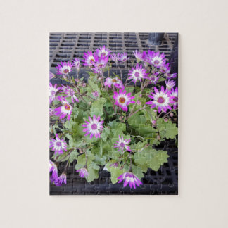 Purple Flowers Jigsaw Puzzle