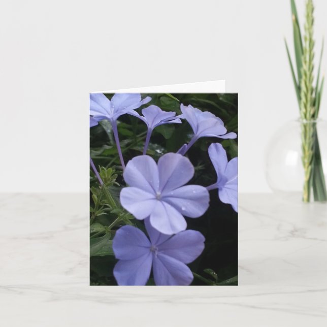 Purple Flowers Note Card (Front)