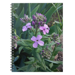 Purple Flowers Notebook