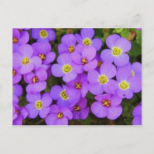 Purple Flowers Peace Love Destiny Postcard