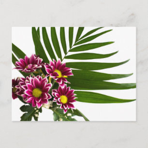Purple flowers postcard