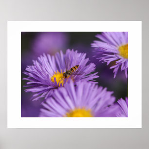 Purple Flowers Poster