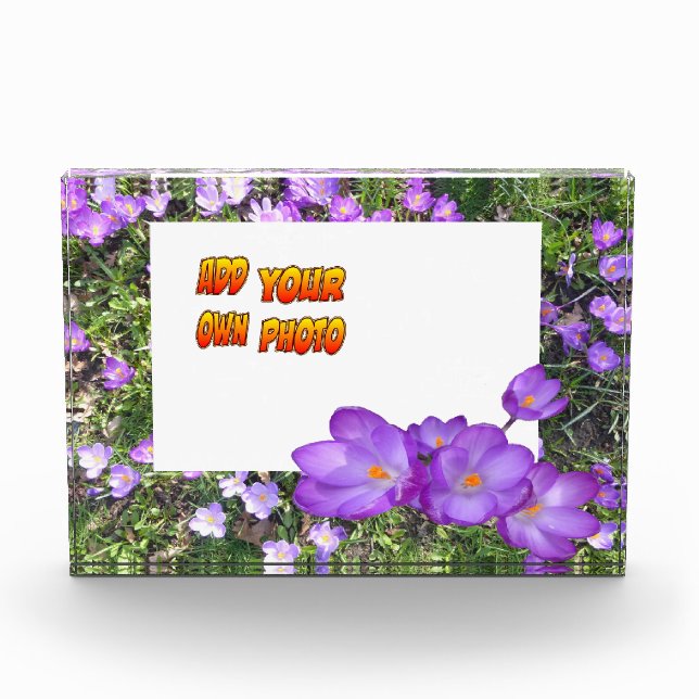 Purple Flowers Purple Crocuses Cust. Photo Block (Front)
