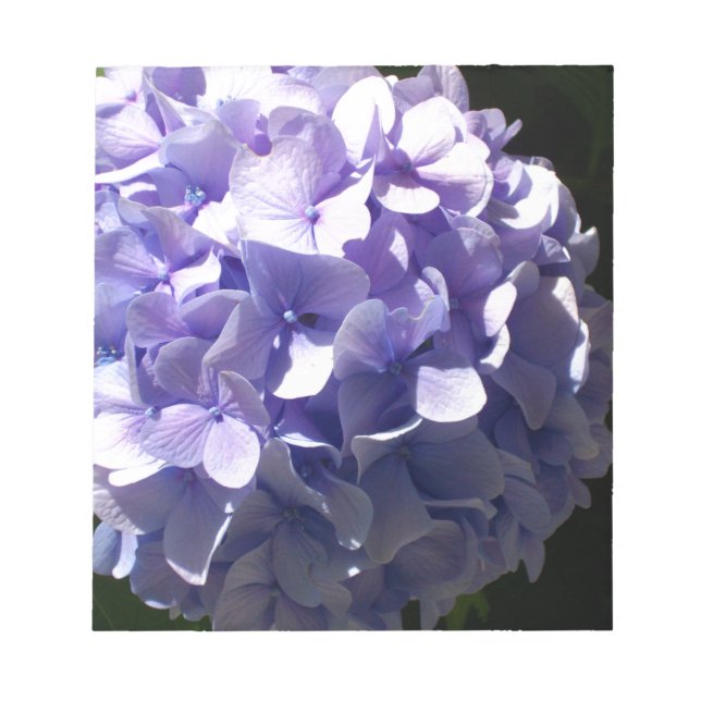 Purple flowers purple floral purple hydrageas notepad (Front)
