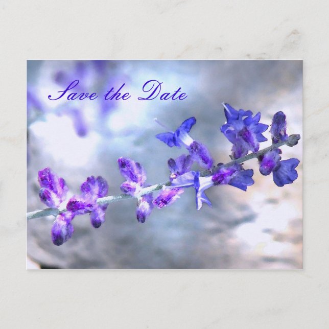 Purple Flowers Save the Date Announcement Postcard (Front)