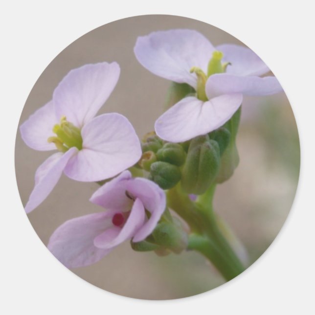 Purple Flowers Stickers (Front)