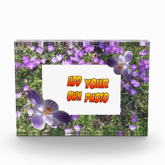 Purple Flowers striped Crocuses Cust. Photo Block (Front)