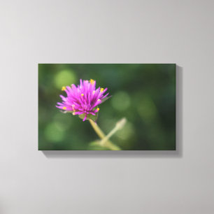Purple Flowers Summer Nature Photography Floral Canvas Print