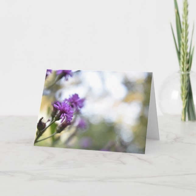 Purple Flowers Summer Nature Photography Floral Card (Front)