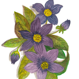 purple flowers Two-Tone coffee mug