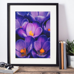 Purple Flowers Wall Art   Purple Lotus Flower