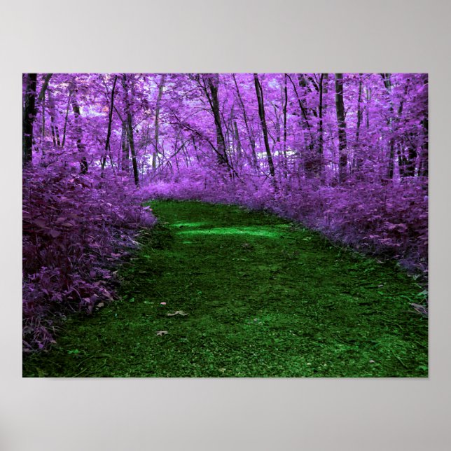 Purple Forest Path Digital Art Design Poster (Front)