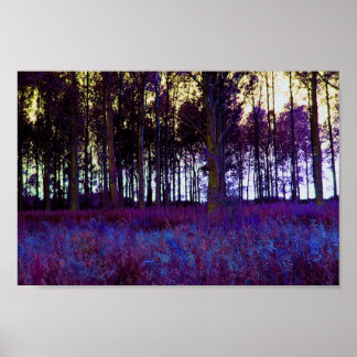 Purple Forest Poster