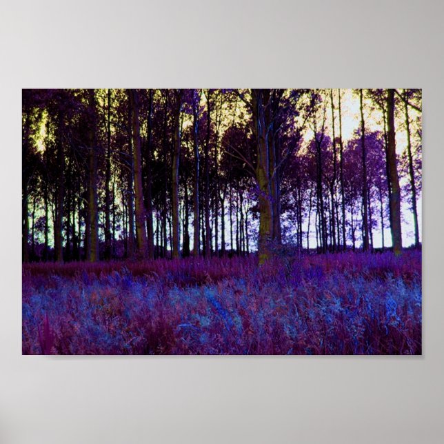 Purple Forest Poster (Front)