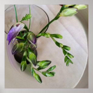purple freesia buds poster