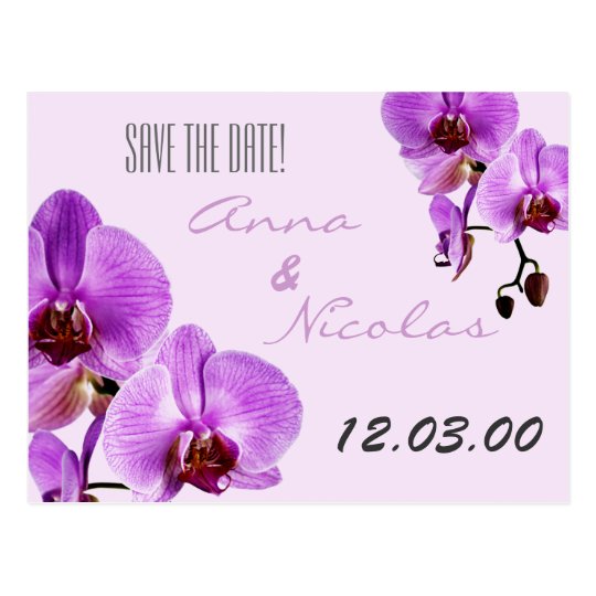 Purple fresh cut orchids postcard
