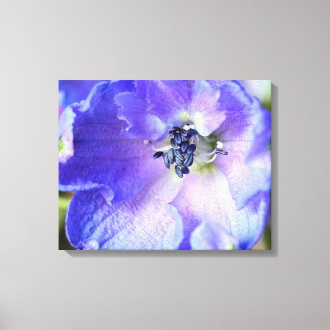 Purple Frills Canvas Print (Front)