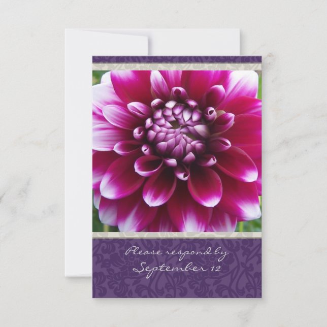 Purple Fuschia Dahlia rsvp avec enveloppes (Devant)