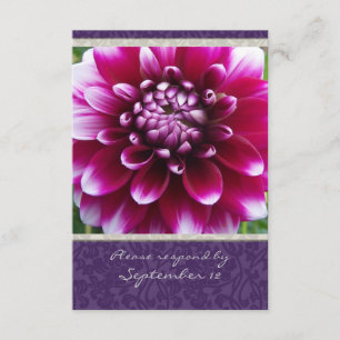 Purple Fuschia Dahlia rsvp with envelopes