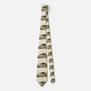 Purple Gallinule from Audubon's Birds of America Tie