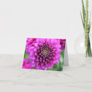 Purple Garden Dahlia for Mothers Day Photo Card
