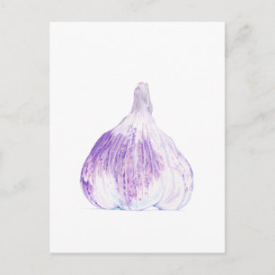 Purple Garlic Postcard