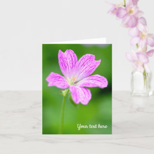 Purple Geranium Greeting Card